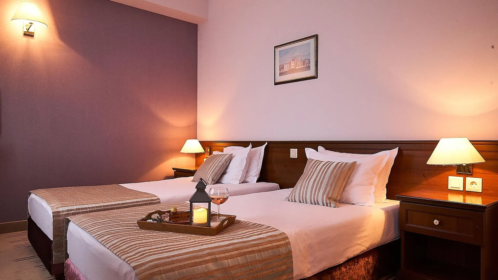 Hotel Lion Sofia